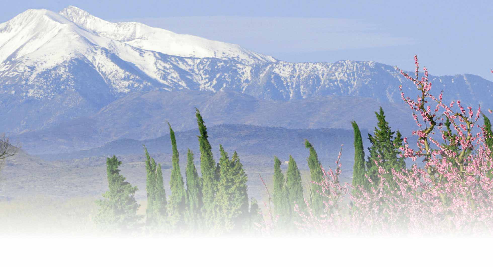 Le Canigou proche de nos établissements en Languedoc Roussillon
